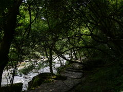 -岳西天峡风景区