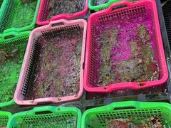 -众味海鲜大排档·活海鲜·潮汕味(南澳店)