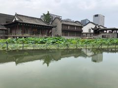 -龙潭水乡