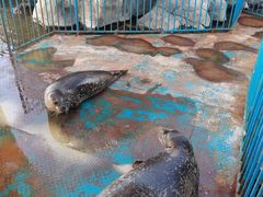 -华夏文旅海洋公园