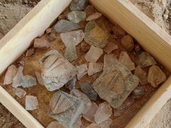 -房山世界地质公园博物馆