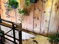 -康轩盲人按摩(上海沙龙店)