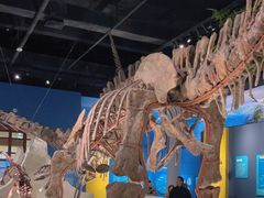 -国家自然博物馆