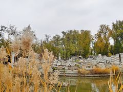 -圆明园停车场