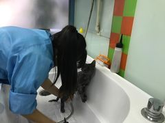 -宠颐生中康贝怡动物医院