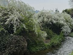 -中国茶叶博物馆(双峰馆区)