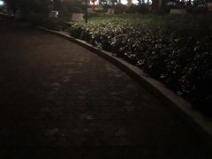-东风公园