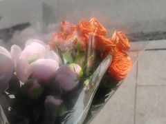 -循礼门鲜花花市(武汉循礼门店)