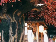 -寻钵记民菜馆·正宗常德钵子菜(滨湖路店)