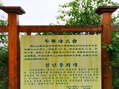 -帽儿山国家森林公园