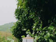 -简象咖啡CAFE ELE JANE(满陇桂雨店)
