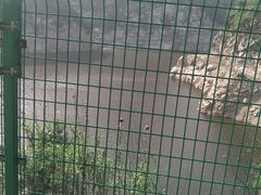 -石砭峪水库