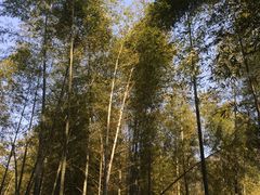-黄公望隐居地