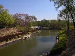 -大兴滨河森林公园