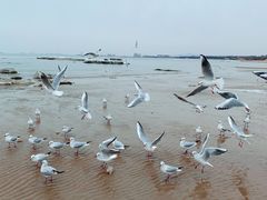 -老虎石海上公园