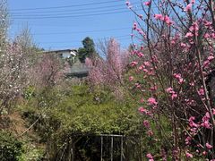-正宗火盆自助烧烤·烤全羊·柴火鸡(龙泉山店)