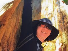 -天目山大树王景区