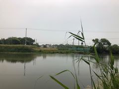 -贡湖湾湿地公园