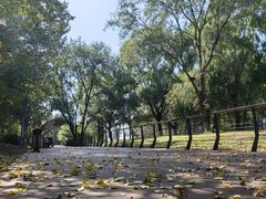 -长白岛森林公园