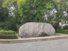 -杨柳青庄园