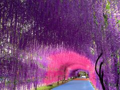 -广东花都香草世界旅游度假区