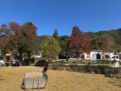 -塔川景区