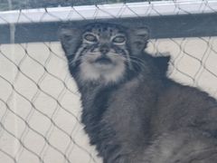 -青藏高原野生动物园
