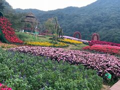-广州市石门国家森林公园