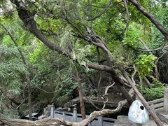 -四门塔风景区