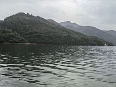 -后柳水乡