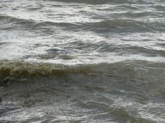 -捞渔河湿地公园