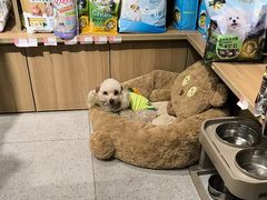 -FAELING PETS美天灵宠物(富力广场店)
