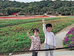 -清溪大王山森林公园
