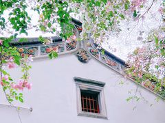 -深圳国际园林花卉博览园
