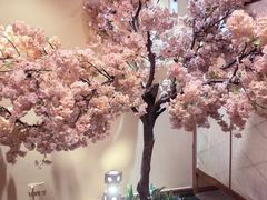 -汤泉良子(金源店)