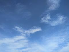 -终南山国家森林公园