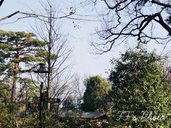 -三鹰之森吉卜力美术馆