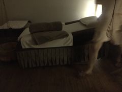 -锦初·禅意4K影院式足道·新中式SPA(茂业天地店)