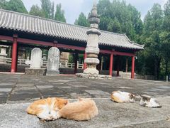 -四门塔风景区