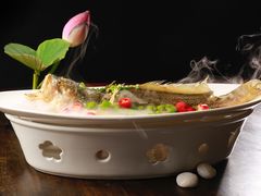 二十年花雕蒸大黄鱼-浣花锦绣(杜甫草堂店)