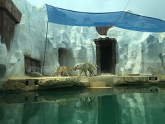 -秦皇岛乐岛海洋王国