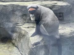 -南昌动物园