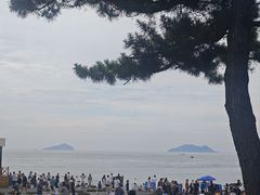 -棒棰岛宾馆景区