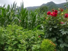 -秦岭终南山世界地质公园翠华山景区