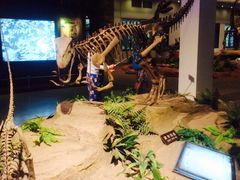 iphone_upload_pic-自贡恐龙博物馆