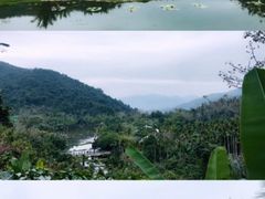 -海南槟榔谷黎苗文化旅游区
