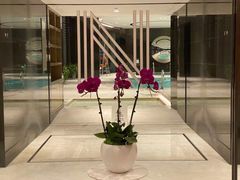-长沙尼依格罗酒店