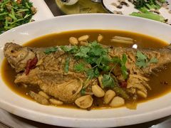红烧白刺-黄狗猪头肉(运河路店)