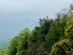 -青城山