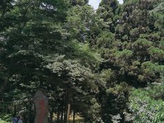 -庐山风景区花径公园